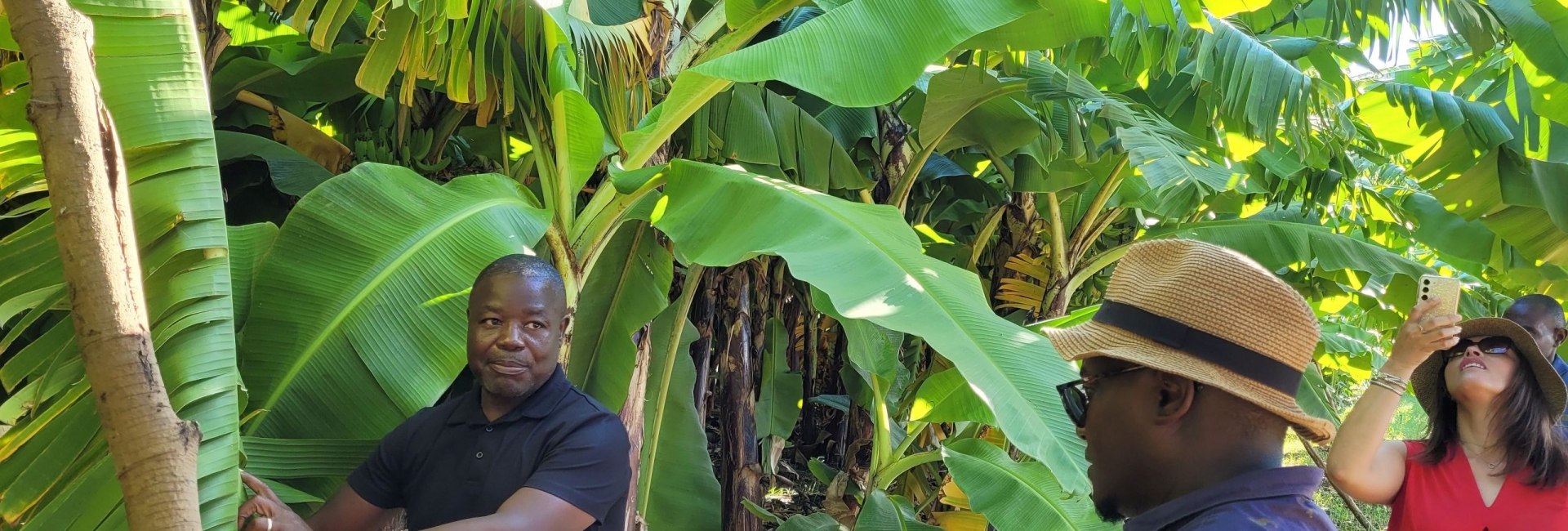 FreshPoint_Banana_Farm_2