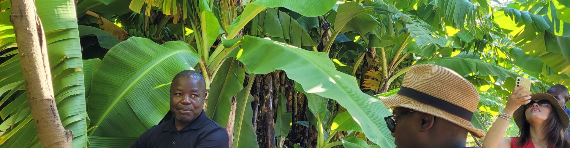 FreshPoint_Banana_Farm_2